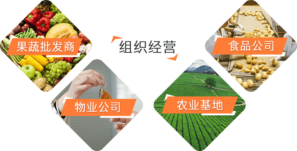 组织经营